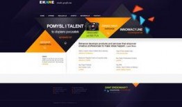 国外摄影师爆料视频网页,揭秘视频网页背后的精彩瞬间